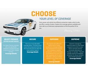 Screenshot of the Endurance website