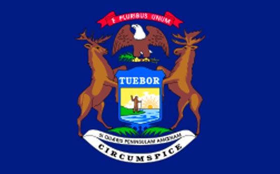 Michigan Flag