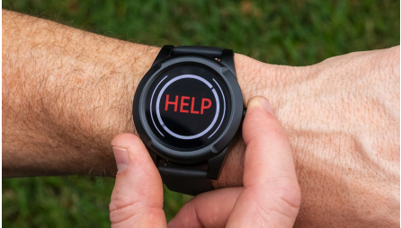 Screenshot: LifeFone smartwatch