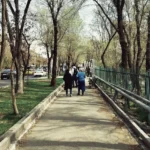 A daily walk is great, but a fast walk is even better