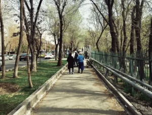 A daily walk is great, but a fast walk is even better