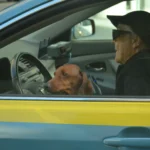News stories about new federal rules covering older drivers are false