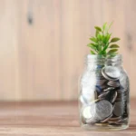 How much should you withdraw from your retirement accounts each year?