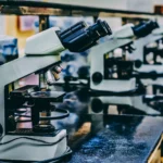 Researchers reverse aging and Alzheimer’s effects in mice