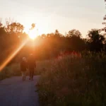 Mental health benefits of retirement not evenly shared