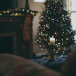 Survey: Seniors Face Loneliness, Stress and Rising Costs This Holiday Season