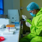Researchers say they reversed brain damage from Alzheimer’s in mice