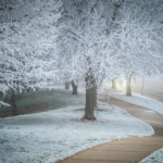 Winter weather increases the fall risk for older adults