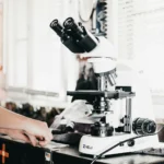 Researchers may have found a way to restore age-related cartilage loss