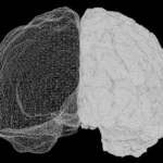 What causes cognitive decline? Scientists are learning more